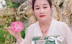 小黄花必看的动漫推荐